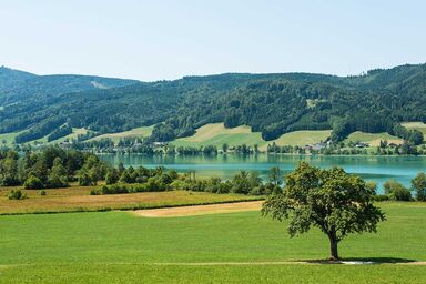 Apartment Seeblick - Krög - Ferienwohnung Seeblick