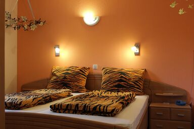Ferienwohnungen Dippold - Ferienwohnung Orchidee