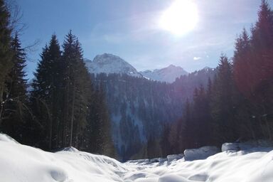 Ferienbauernhof Erath - Doppelzimmer Gräsalpe
