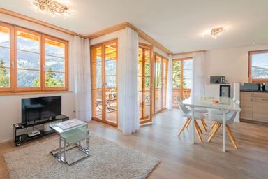 Panoramapark Soleil Alpenaster