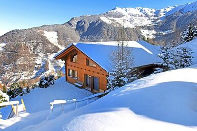Chalet Alpina