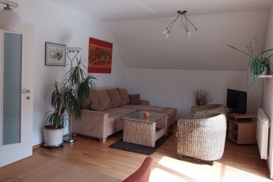 Weingut Wolfgang Bäuerl - Appartement Donaublick