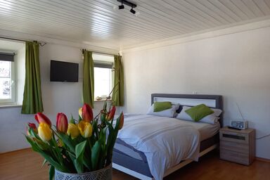 Am Valtlhof - Gästezimmer Valtlhof - Doppelzimmer, Boxspringbett, TV - zusätzliches Doppelzimmer optional zubuchbar