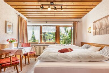 Schwabenbauernhof - Landhaus Pichler inkl. Chiemgaukarte - Fewo Zinnkopf 27 qm, Südostbalkon o. Terrasse, Kochnische, WLAN, 1 Wohn-Schlafz.