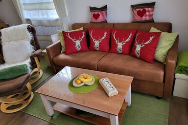 Ferienwohnanlage Bergschlößl - Appartement Nr. 10***  50qm, 1 Schlafzimmer, Terrasse