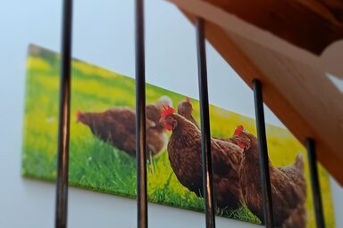 Bauernhofurlaub Eggcellence - Ferienwohnung Henriette