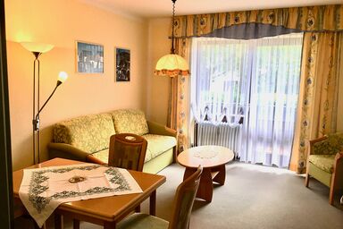 Ferienwohnungen Biermeier - Ferienwohnung Nr. 9 im EG mit Balkon