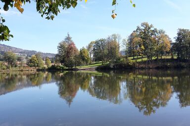 Appartement am Waldeck - Ferienhaus 803