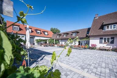 Weingut Kernwein - Einzelzimmer (23 qm) mit Frühstück