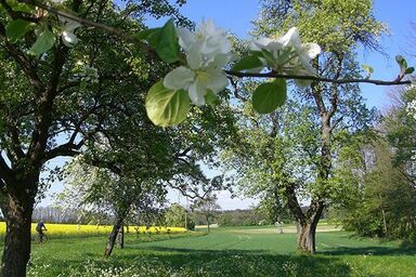 Landhaus Essl - Double room