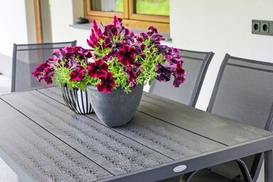 Waidmannsheil - 67qm - Jagerstüberl-60qm EG mit gr Terrasse .1