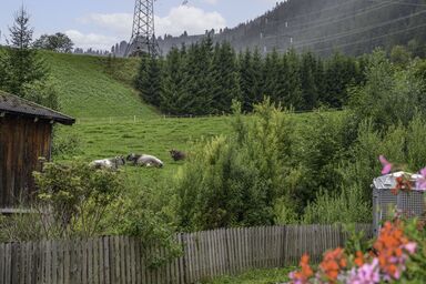 Kapall - Schöngraben .1