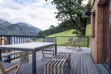 Premium #14 mit IR-Sauna - Superior #68 mit IR-Sauna .18