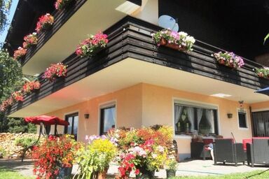 Cosmea in Millstatt - Cosmea in Millstatt .1