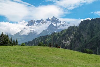 Chalet "Ecureuil" in den Portes du Soleil im Wallis - Chalet "Ecureuil" in den Portes du Soleil im Wallis .1