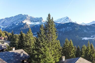 Les Arsets 301/11 - Arsets 203/12 .7