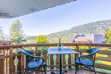 Le Bristol B11 - Le Bristol A25 .31