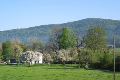Appartement - Chez Fleury, (Courcelon), - Appartement - Chez Fleury, (Courcelon), .1