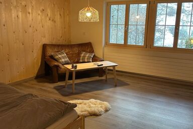 Finkenwiese Suite - mit Billiard und Wintergarten - Finkenwiese Suite - mit Billiard und Wintergarten .1