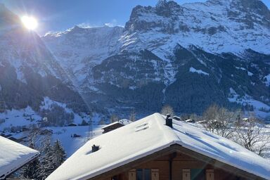 Chalet Snowflake - Chalet Snowflake .1