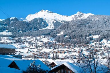 Chalet Wieseli - Chalet Wieseli .1