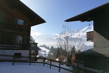 Chalet Sandra in Wengen - Chalet Sandra in Wengen .1