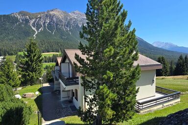 La Schmetta 65 Quadroni - La Schmetta 65 Quadroni .1