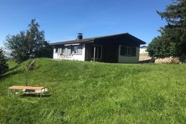 Soldanella - Soldanella .1