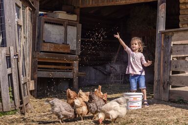 Bauernhof Gruber - Bauernhaus - Ferienwohnung Soleck