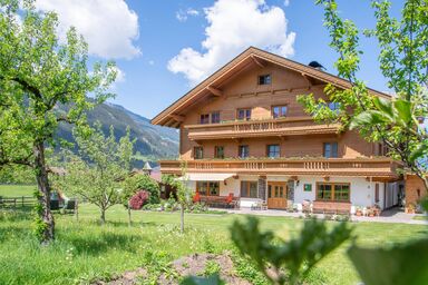 Paulerhof - Komfortzimmer 5 "Hambergblick"