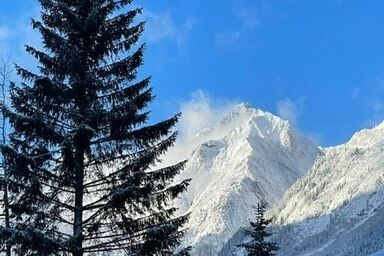 Viva Apartments - Ferienwohnung Wetterstein