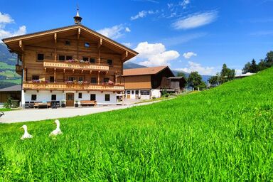Bio Bauernhof Obermühle - Wildkirsche