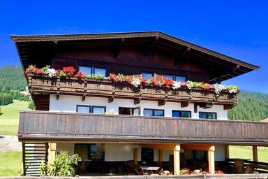 Pension Heidelberg - Fam Fuchs - Doppelzimmer, Dusche, WC