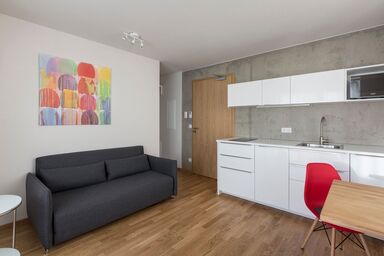 Apartments Thommen_Premium - 2-Zi-Premium-Apartment