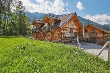 DreiHittn - Steinbock