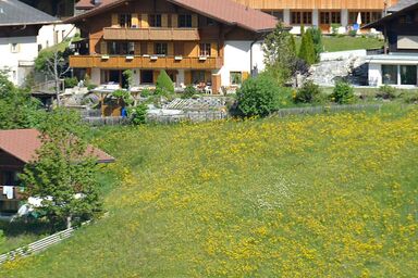 Marielle 2-Zimmerwohnung