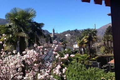 Casa Viola Panoramawohnung 1. Stock