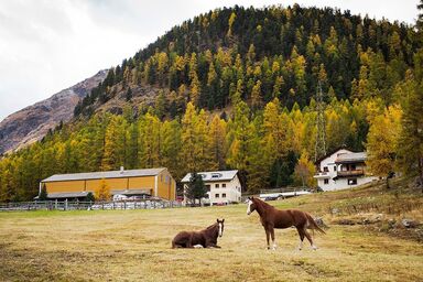 Chesa Formel - Stalla Engiadina