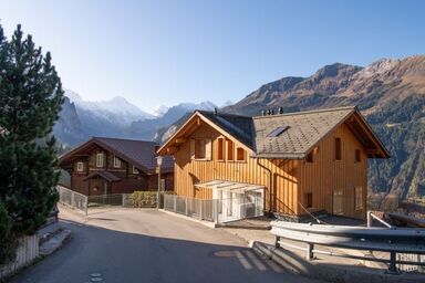 Chalet Sterndolde Apt. 1