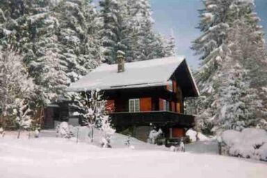 Winterwandern Greyerzerland Internet tolle Preise