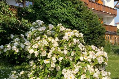 Haus Maria - Doppelzimmer