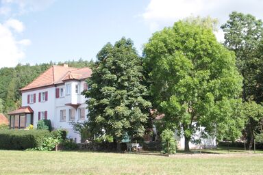 Elsbach-Perle - Ferienwohnung direkt am Elsbach