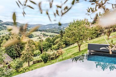 Haus am Kogl - Haus am Kogl .1