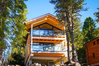 Superior #23 with Sauna & Hot Tub - Superior # 13 mit Sauna & Hot Tub .21