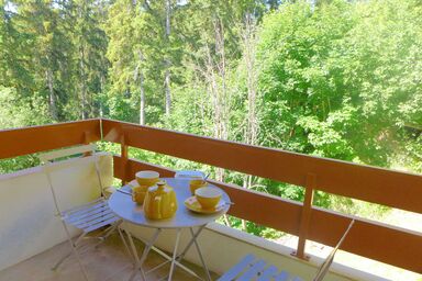 Terrasse Des Alpes 615 - Terrasse Des Alpes 3008 .3