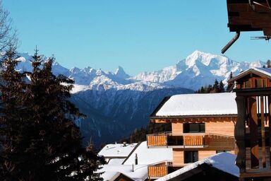 Bärgblüemli EG Süd - Bärgblüemli EG Süd .1