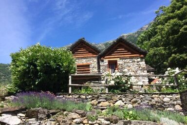 weg von der Zuvielisation - weg von der Zuvielisation .1