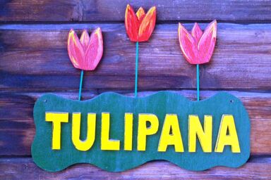 Tulipana Berther - Tulipana Berther .1