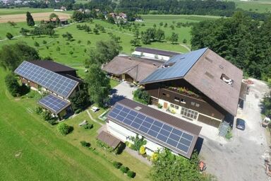 Rehalp Osten - Rehalp Osten .1