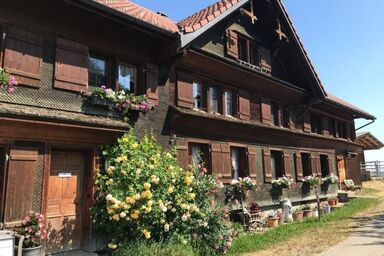 Bauernhof Sal - Bauernhof Sal .1